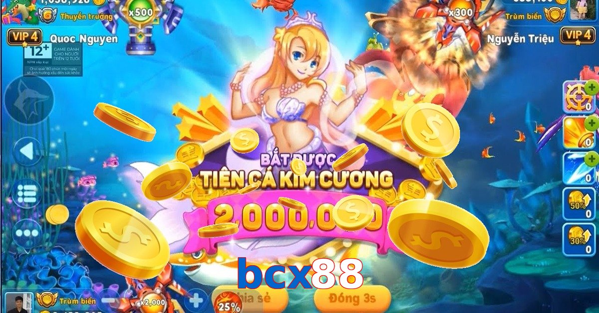 bcx88