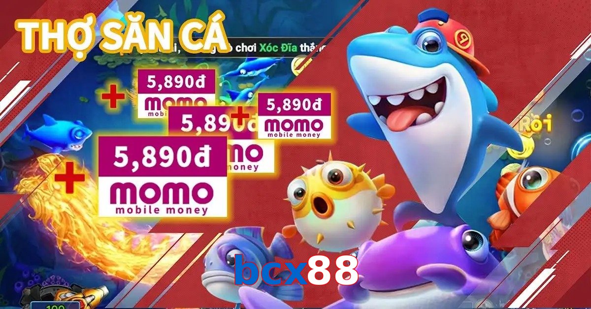 bcx88