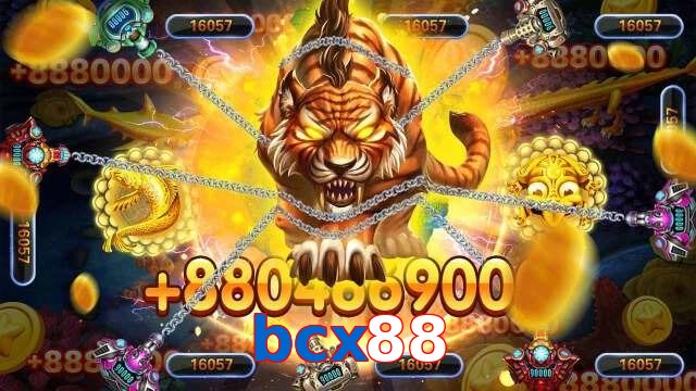 bcx88