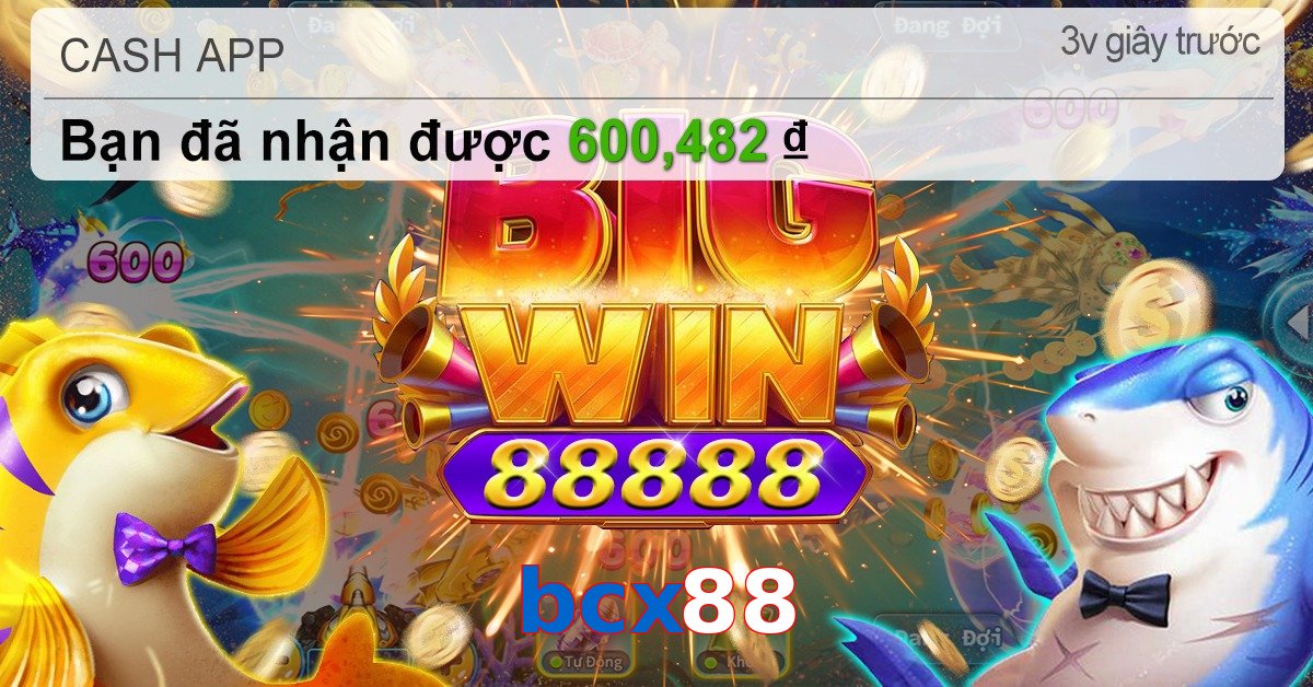 bcx88
