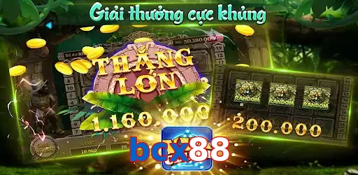 bcx88